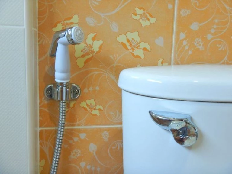 How to Use a Toilet in Thailand - Chiang Mai Family Guide