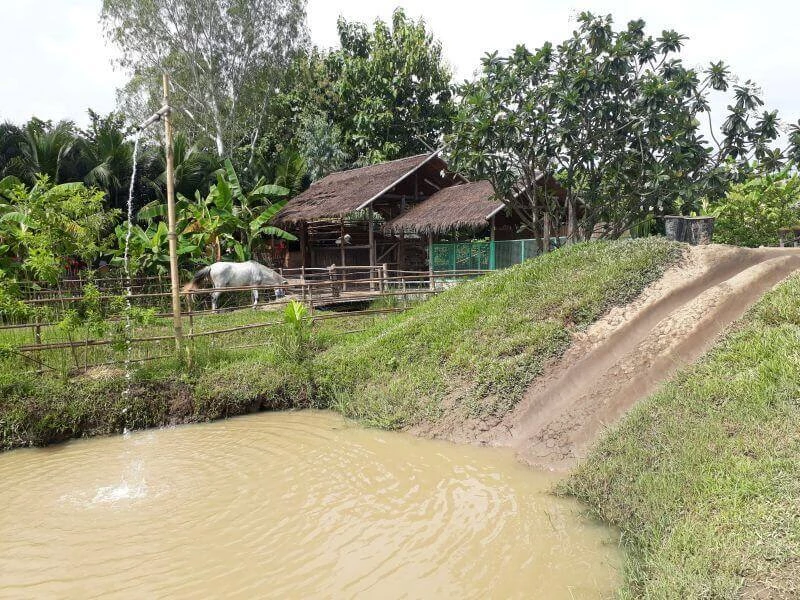 Ginger Farm Chiang Mai mudslide Chiang Mai mudslide