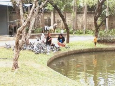 Best public parks in Chiang Mai