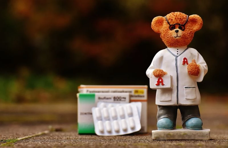 Pharmacist bear