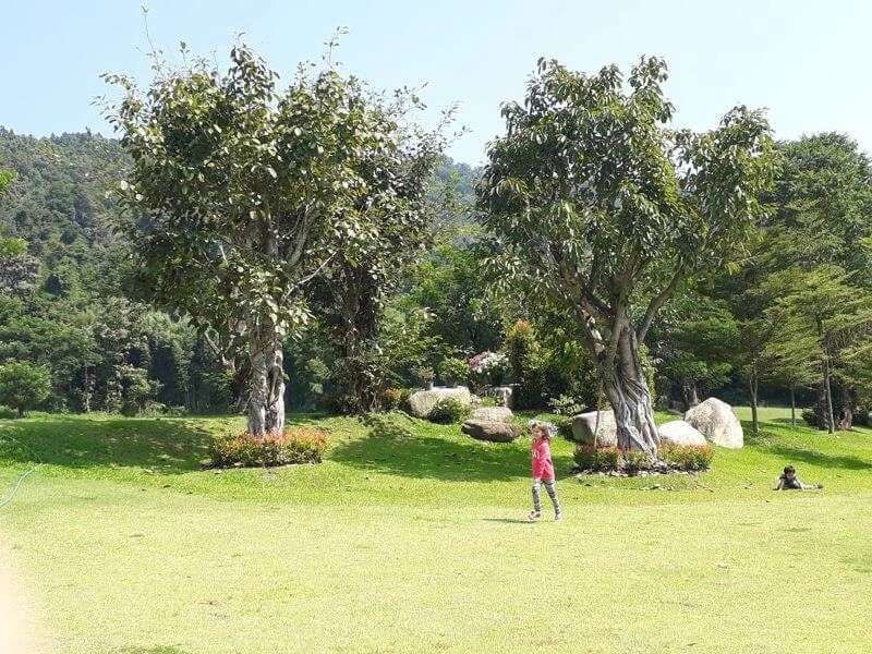 Large grassy area to play on Chiang Mai