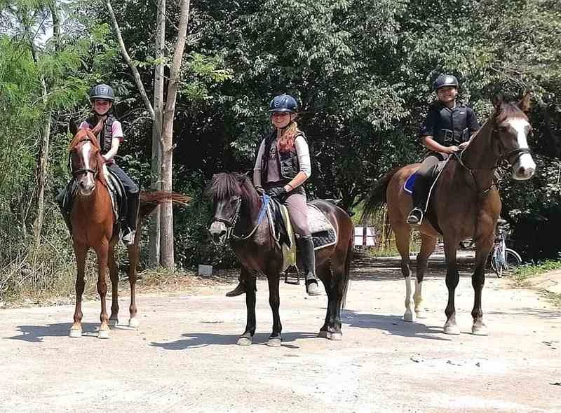 Horse riding lessons in Chiang Mai