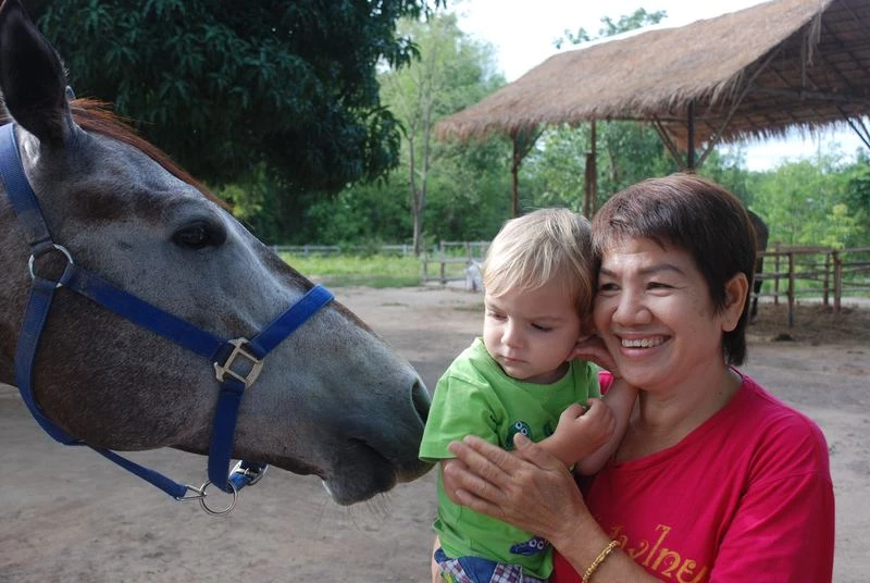 horse riding in Chiang Mai