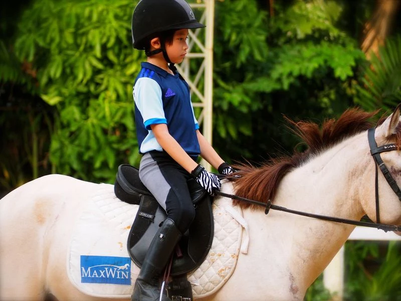 Ride Horses in Chiang Mai