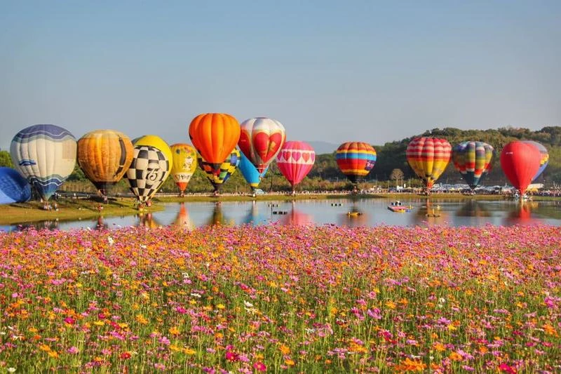 Chiang Rai International Hot Air Balloon Festival 2022 - Chiang Mai ...