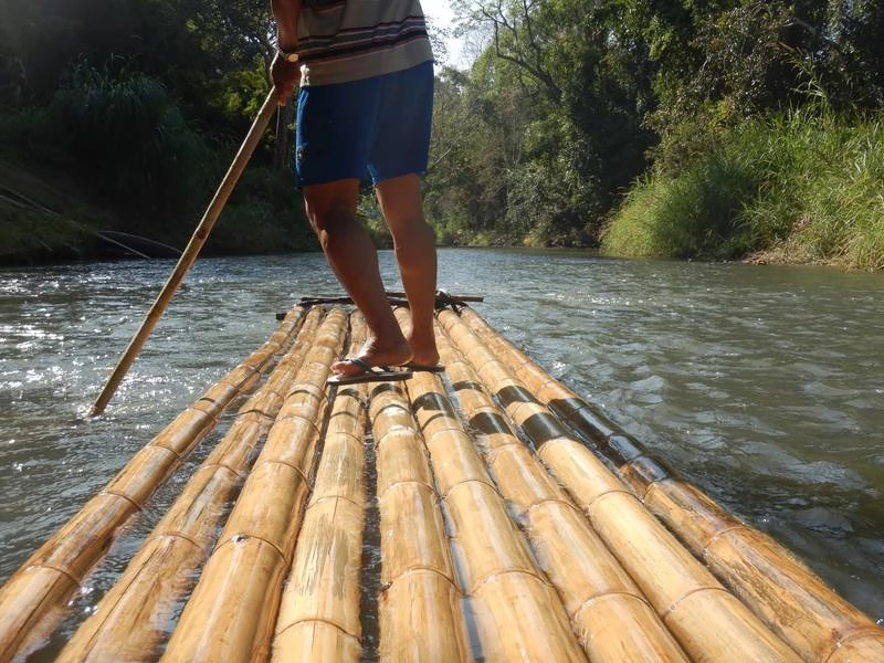 bamboo rafting in Chiang Mai feed elephants