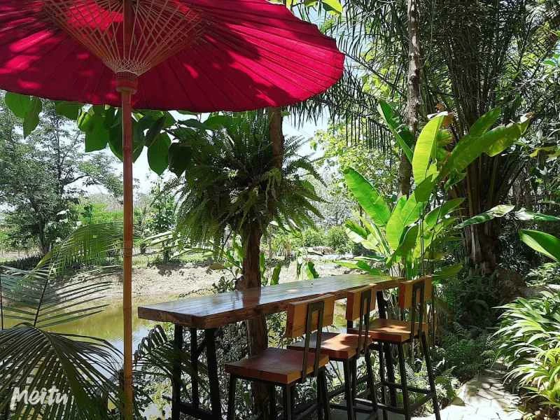 Panmai Coffee Botanical Garden Cafe Chiang Mai