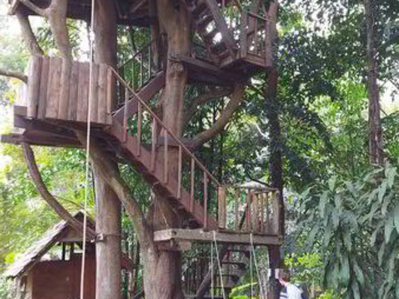 Amazing treehouse resort Chiang Mai