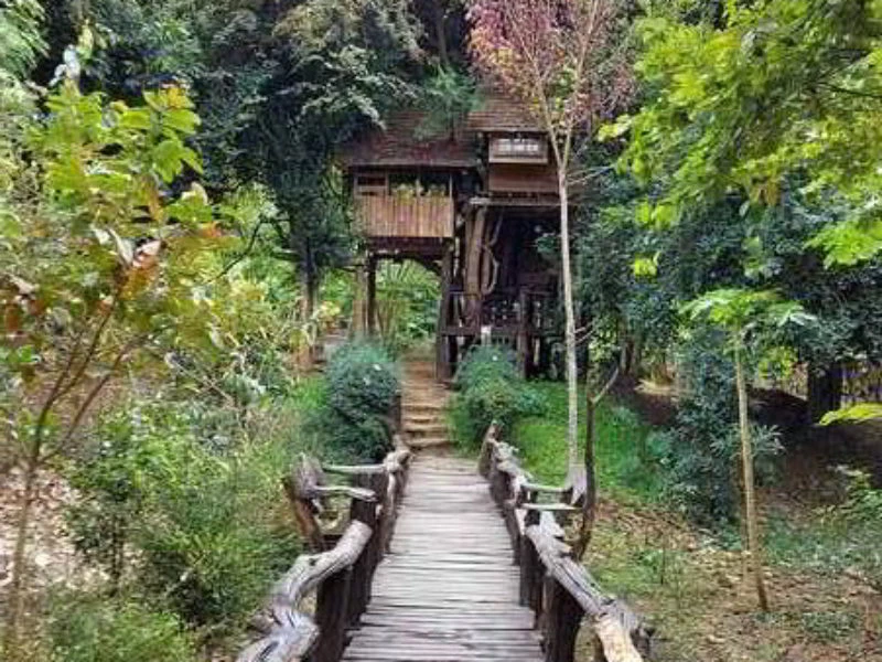 Amazing treehouse resort Chiang Mai
