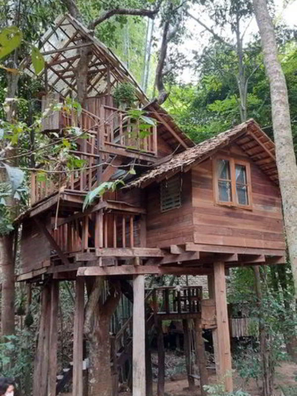 Amazing treehouse resort Chiang Mai