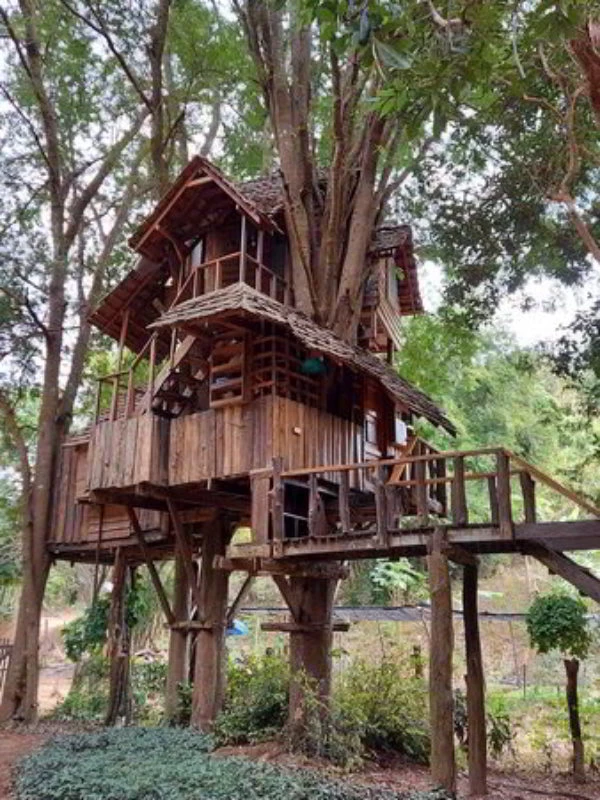 Amazing treehouse resort Chiang Mai
