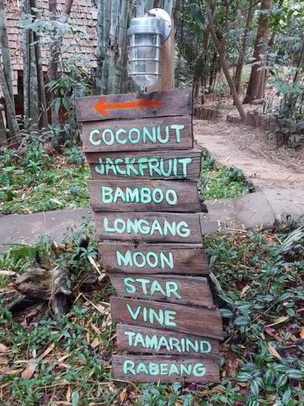 Amazing treehouse resort Chiang Mai